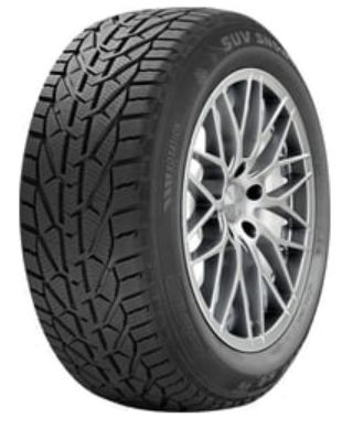 საბურავები Riken 225/50 R17 19T 1 ცალი თბილისი