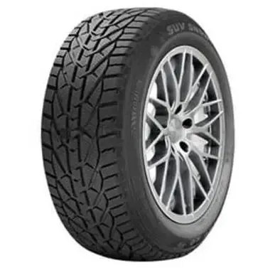 Riken 225/50 R17 19T 1 ცალი თბილისი