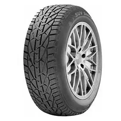 Riken 245/45 R18 19T 1 ცალი თბილისი