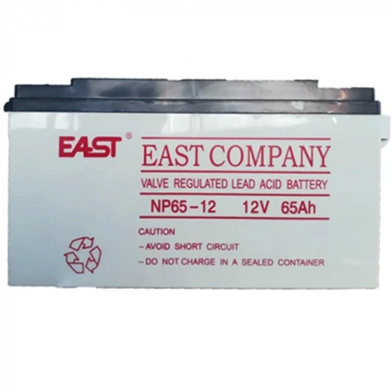 East Np65-12 UPS Battery Tbilisi