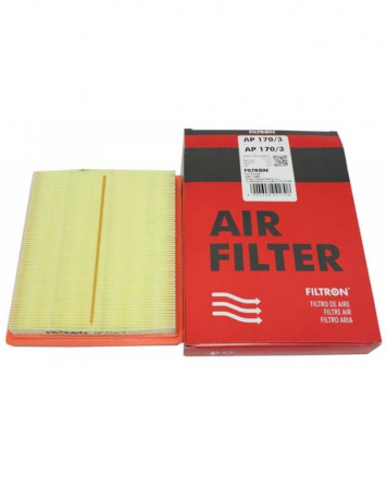 Ჰაერის ფილტრი Filtron Ap170/3 თბილისი