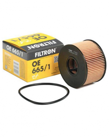 Ზეთის ფილტრი Filtron Oe665/1 თბილისი