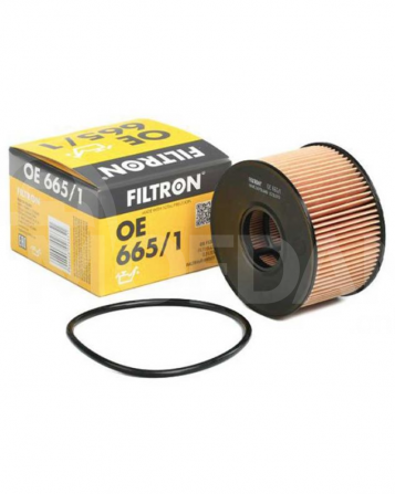 Воздушный фильтр Filtron Oe665/1 Тбилиси - изображение 1