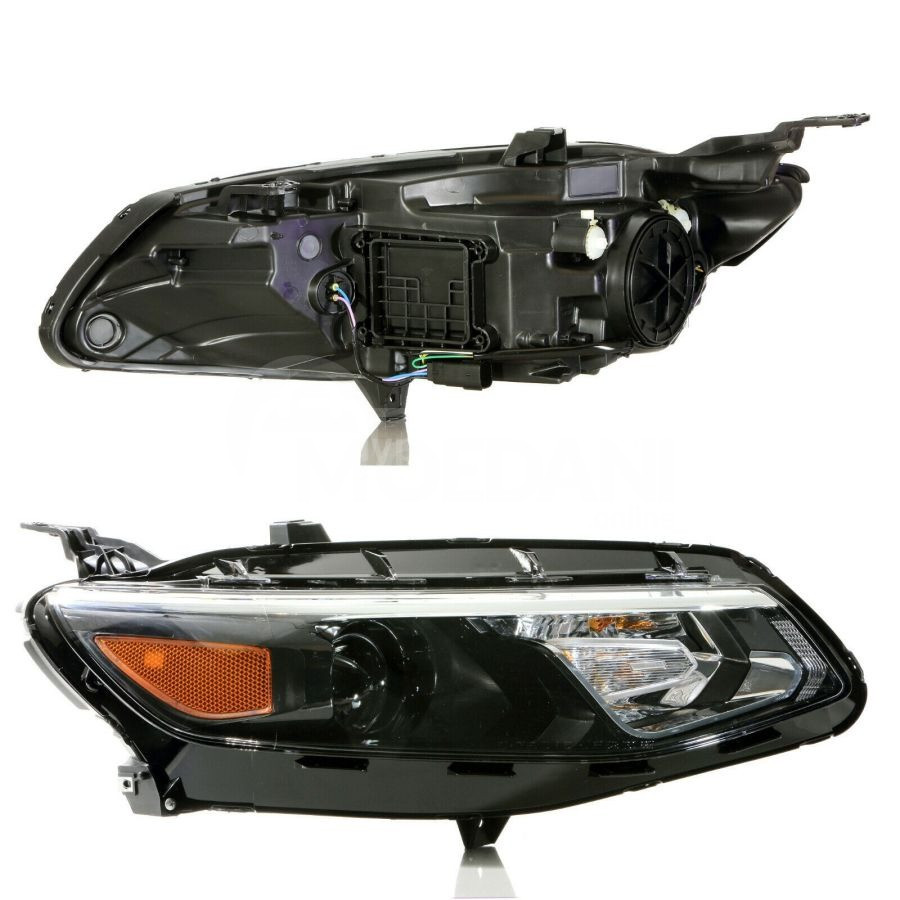 Ina shield (right) Malibu Tbilisi - photo 1