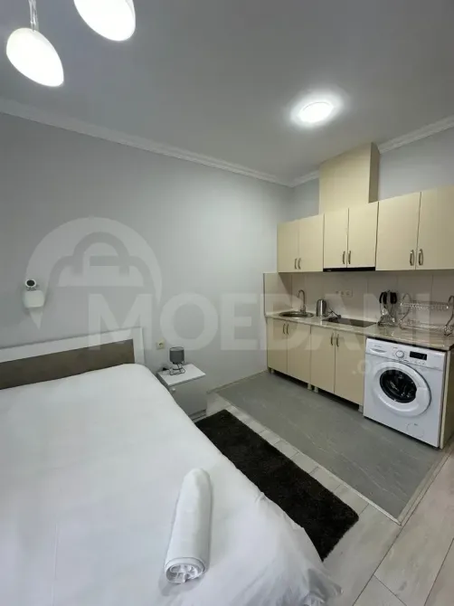 ქირავდება 1 ოთახიანი ბინა 30მ² 15/15 სართ თბილისი - photo 3