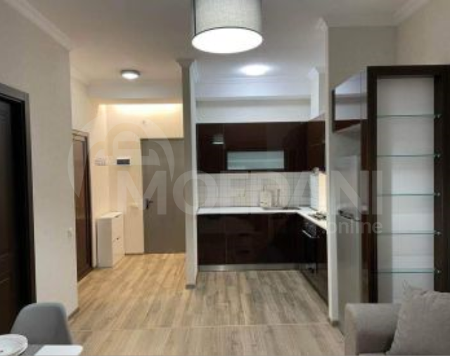 Rent 2 apartment 60м² 7/9 floor Tbilisi - photo 4