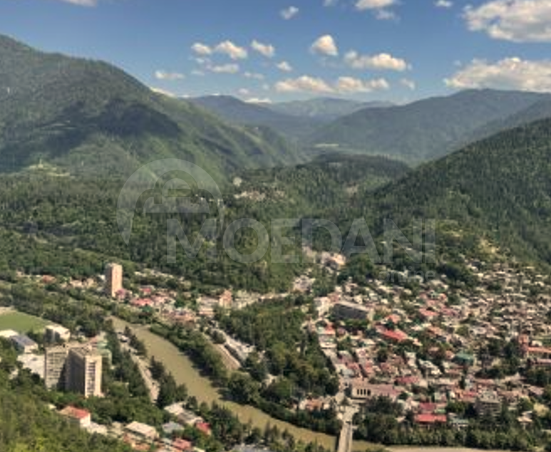 Сдам 2-комн. квартиру на сутки в Боржоми  80м² 1/1 эт. Боржоми - изображение 9