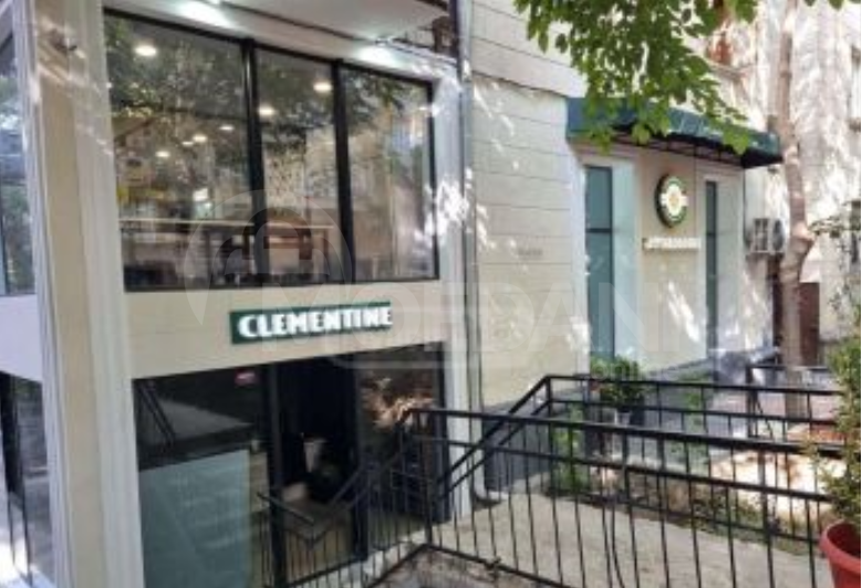 Universal commercial space in Vake is for sale Tbilisi - photo 3