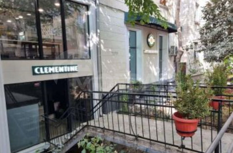 Universal commercial space in Vake is for sale Tbilisi - photo 2