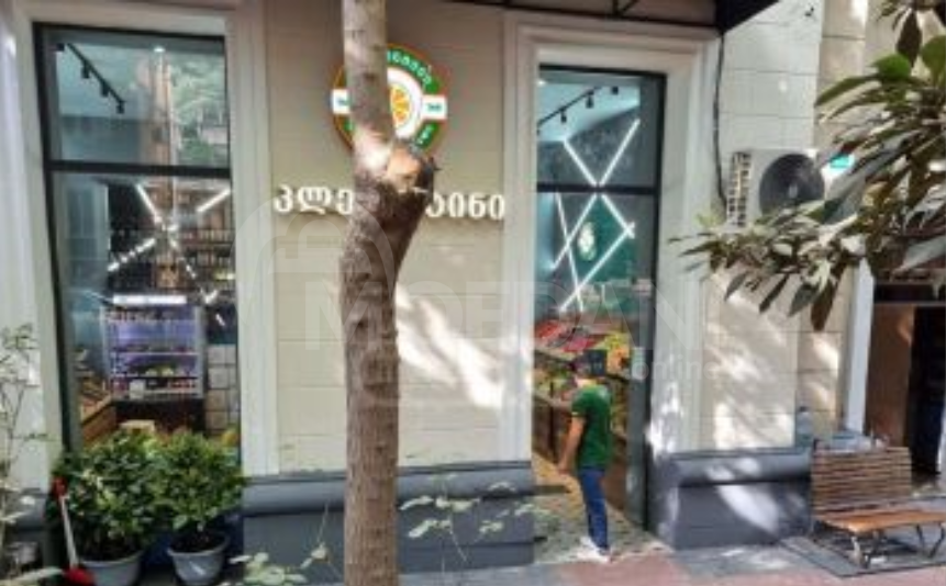 Universal commercial space in Vake is for sale Tbilisi - photo 1