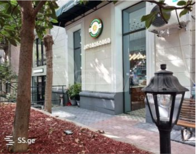 Universal commercial space in Vake is for sale Tbilisi - photo 4