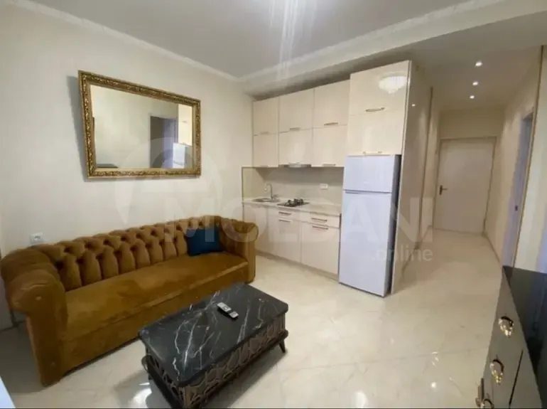 Apartments For Rent two-room 50м² 5/22 floor Tbilisi - photo 8