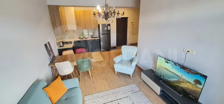 Apartments For Sale two-room 55м² 7/14 floor Tbilisi - photo 4