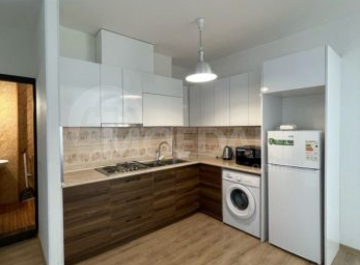 Apartments For Rent two-room 65м² 14/22 floor Tbilisi - photo 1