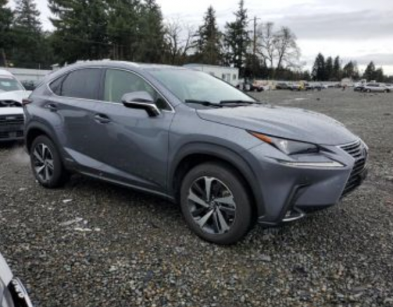 Lexus NX 2021 თბილისი