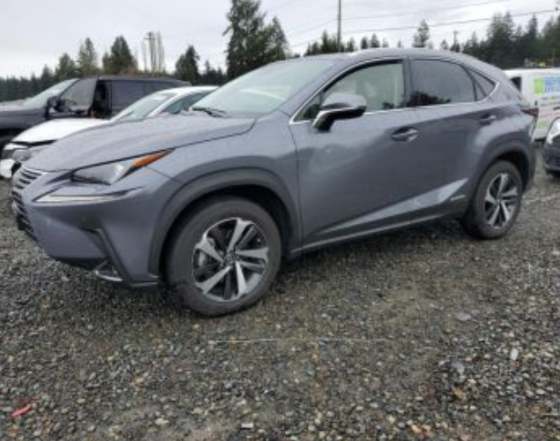 Lexus NX 2021 თბილისი