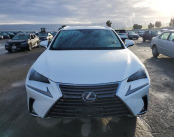 Lexus NX 2020 თბილისი