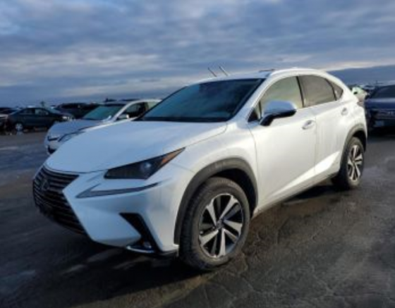 Lexus NX 2020 თბილისი