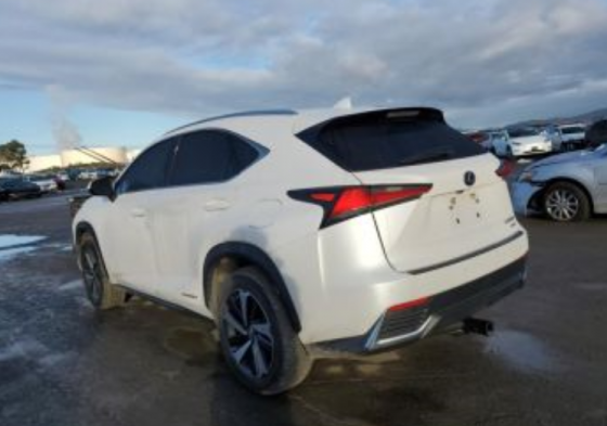 Lexus NX 2020 თბილისი