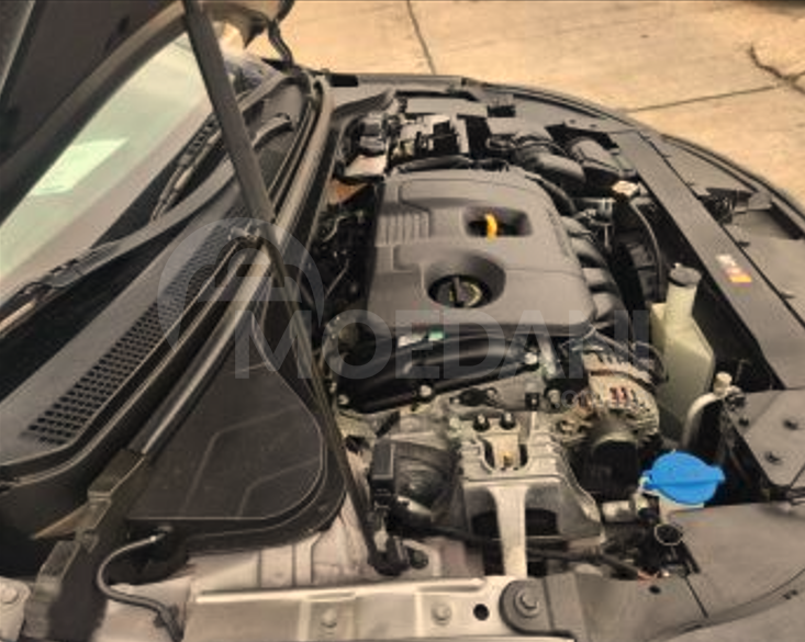 Hyundai Elantra 2019 Tbilisi - photo 8