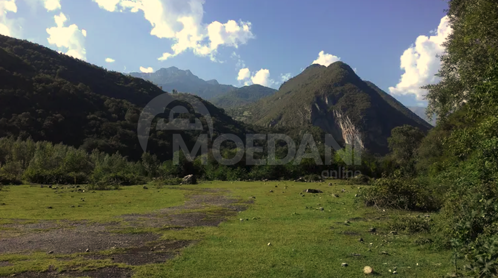 Продам земельный участок 6956м² Сageri - photo 3