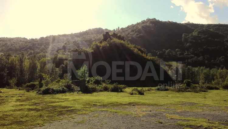 Продам земельный участок 6956м² Сageri - photo 1