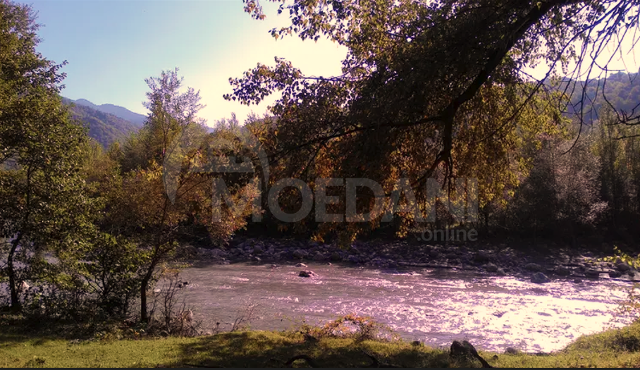 Продам земельный участок 6956м² Сageri - photo 6