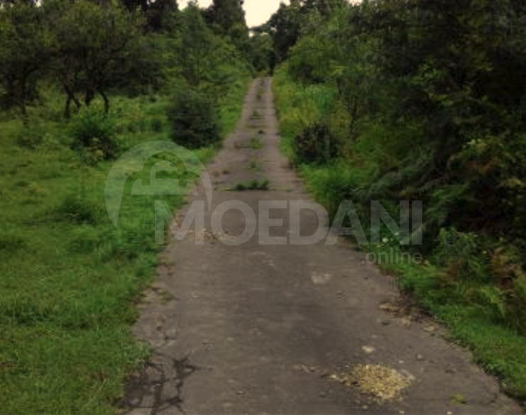 Продам земельный участок 1501м² Ozurgeti - photo 2