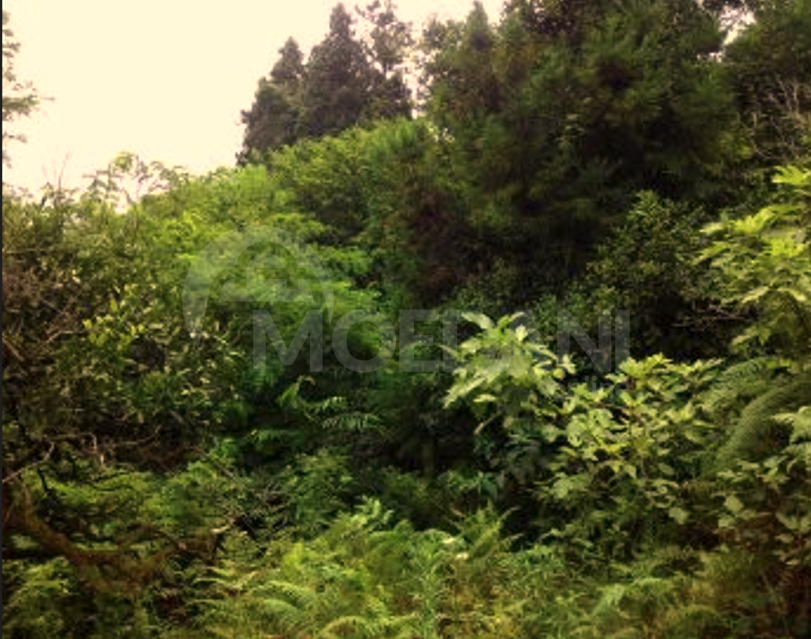 Продам земельный участок 1501м² Ozurgeti - photo 3