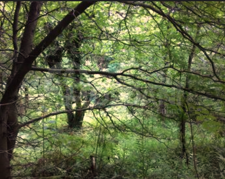 Продам земельный участок 1501м² Ozurgeti - photo 5