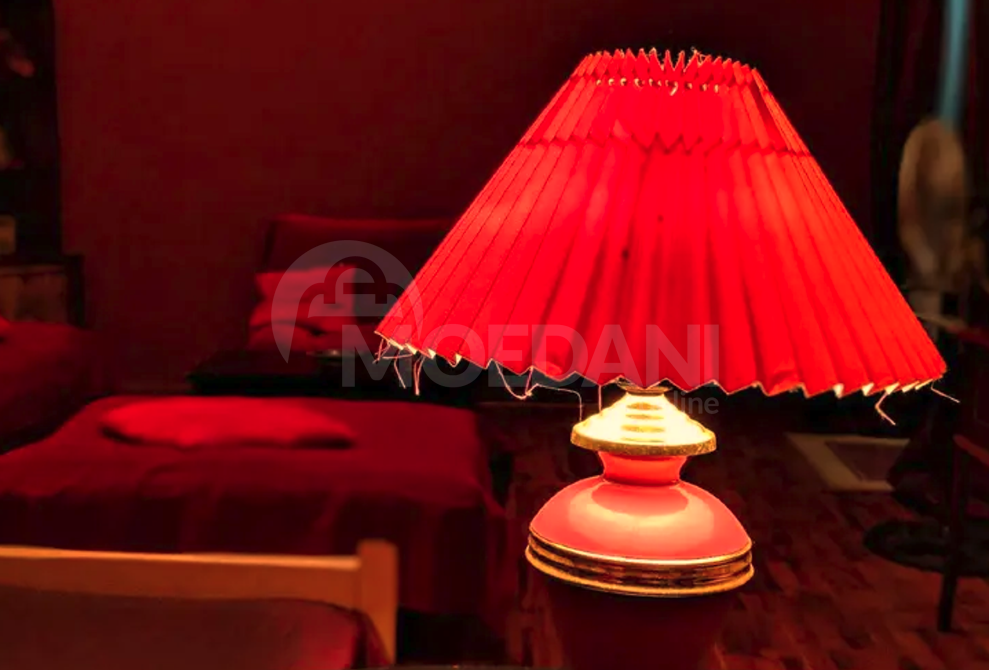 Apartments For Rent two-room 65м² 1/3 floor Tbilisi - photo 8