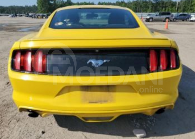 Ford Mustang 2015 Tbilisi - photo 4