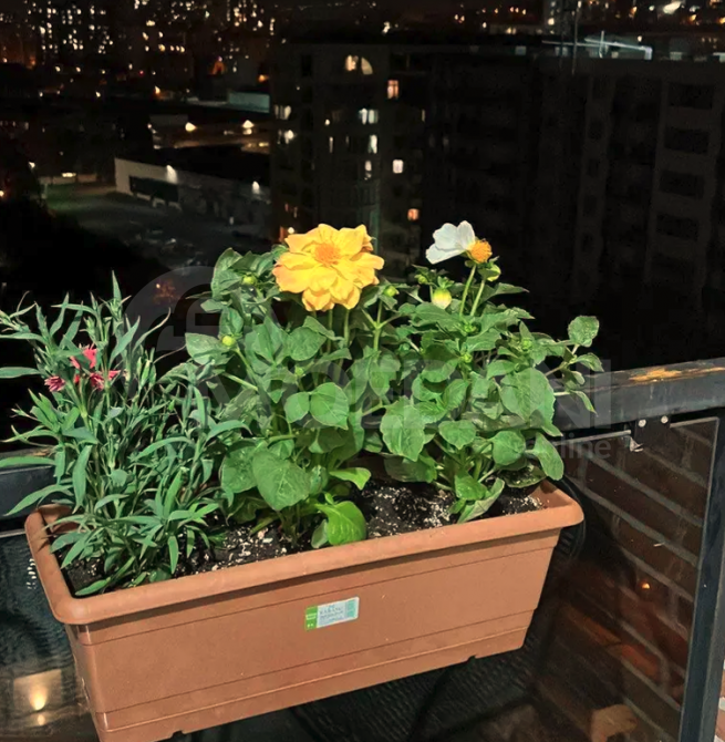 ქირავდება 2 ოთახიანი ბინა 50მ² 13/18 სართ თბილისი - photo 10