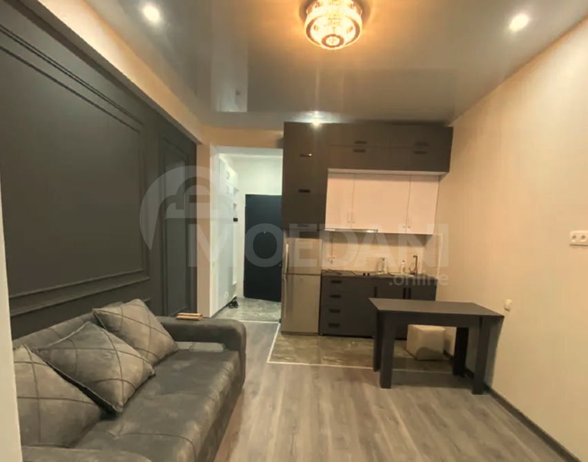 ქირავდება 1 ოთახიანი ბინა 35მ² 12/12 სართ თბილისი - photo 1