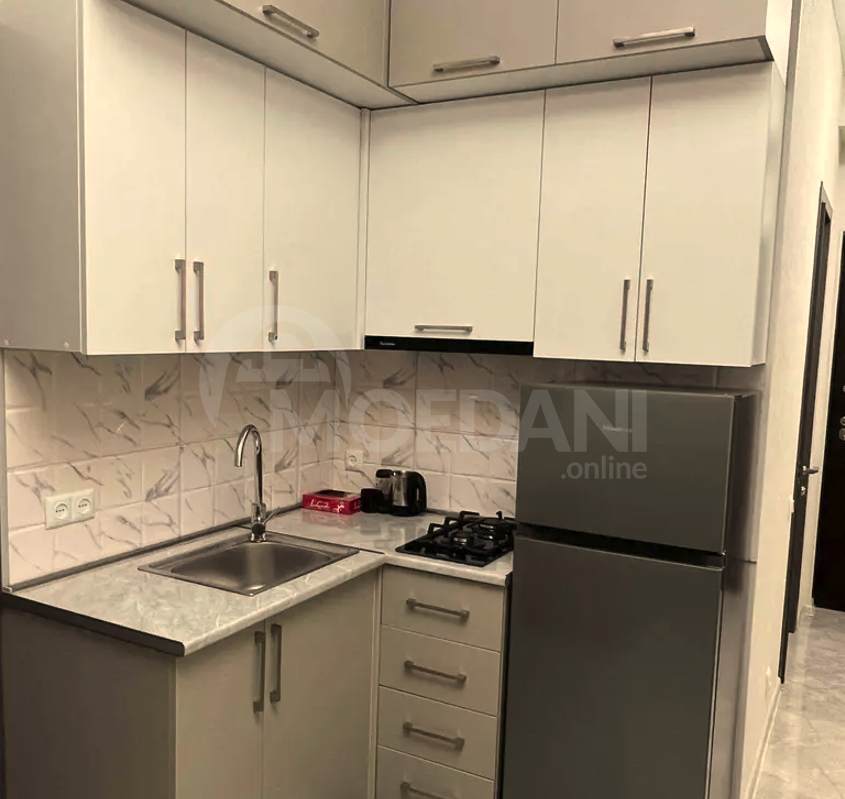 Apartments For Rent two-room 43м² 7/11 floor Tbilisi - photo 6