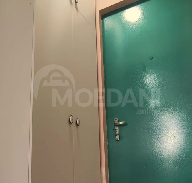 Rent 1 apartment 300м² 8/8 floor Tbilisi - photo 5