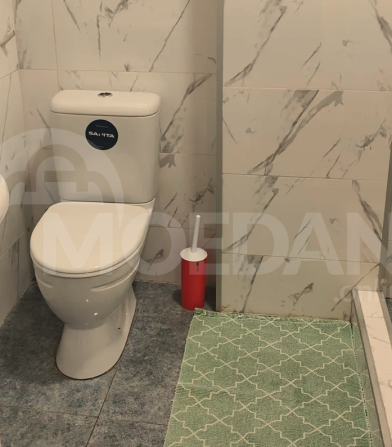 Rent 1 apartment 300м² 8/8 floor Tbilisi - photo 2