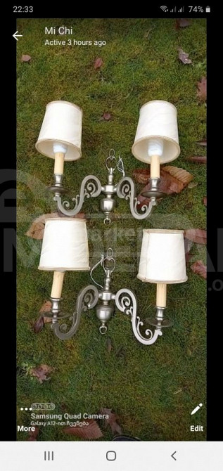 Breb from Belgium Tbilisi - photo 1