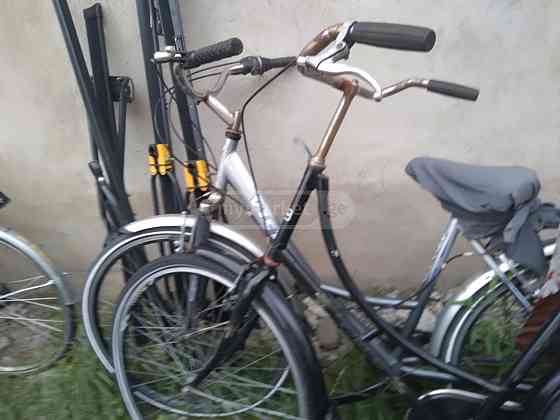 ველოები ბელგიიდან თბილისი