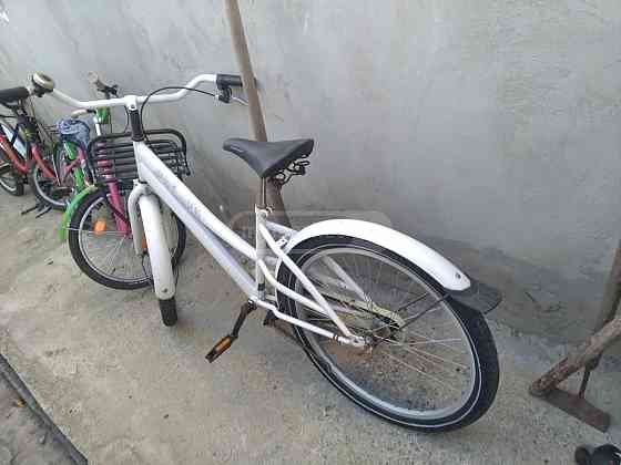 ველოები ბელგიიდან თბილისი