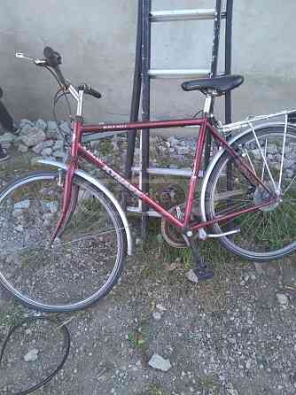 ველოები ბელგიიდან თბილისი