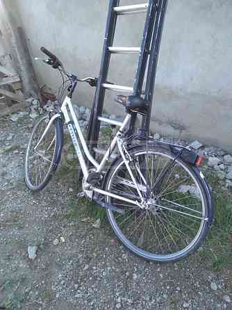 ველოები ბელგიიდან თბილისი