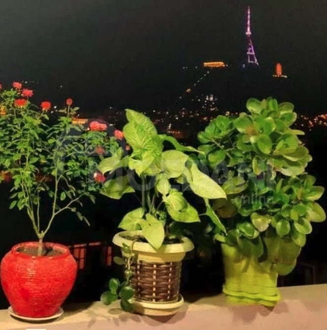 Продам Дом 1м² Тбилиси - изображение 4