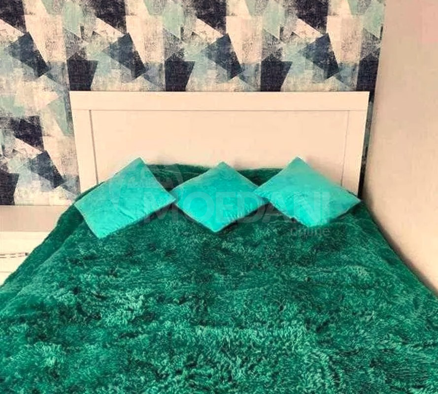 Продам Дом 1м² Тбилиси - изображение 10