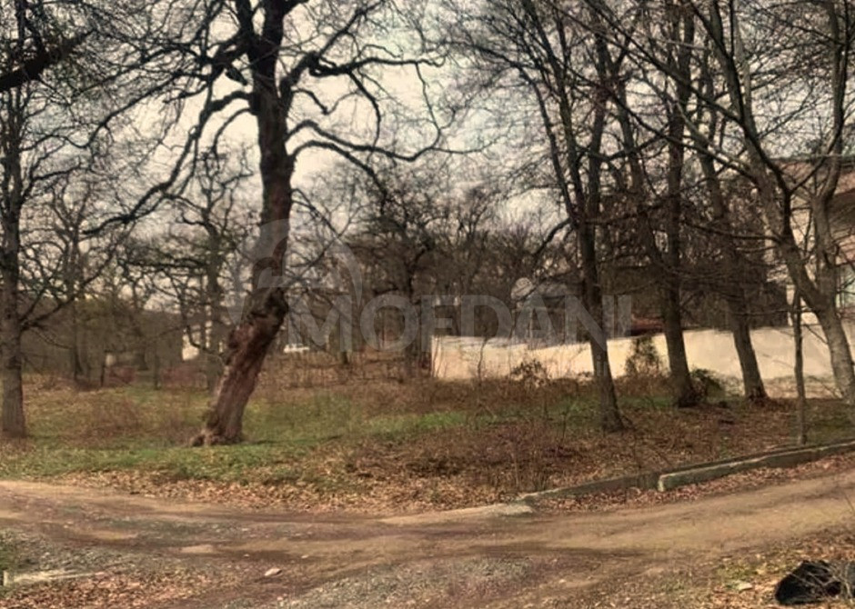 Продам земельный участок 597м² Tbilisi - photo 8