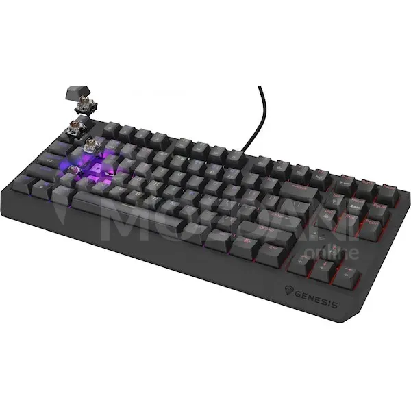 Клавиатура Genesis NKG-2079 Thor 230 TKL, Wired, USB Тбилиси - изображение 3