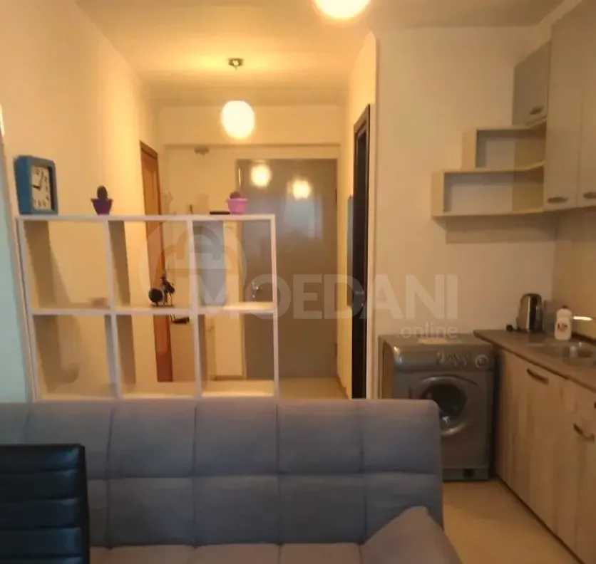 Apartments For Rent two-room 45м² 7/10 floor Tbilisi - photo 7