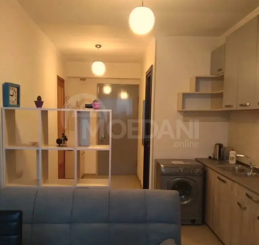 Apartments For Rent two-room 45м² 7/10 floor Tbilisi - photo 6