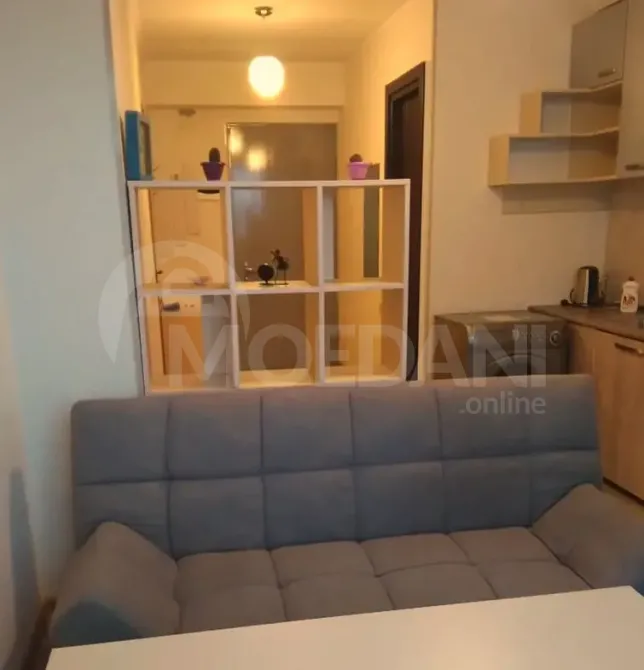 Apartments For Rent two-room 45м² 7/10 floor Tbilisi - photo 1