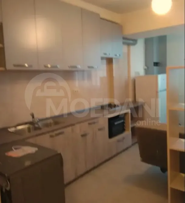 Apartments For Rent two-room 45м² 7/10 floor Tbilisi - photo 3